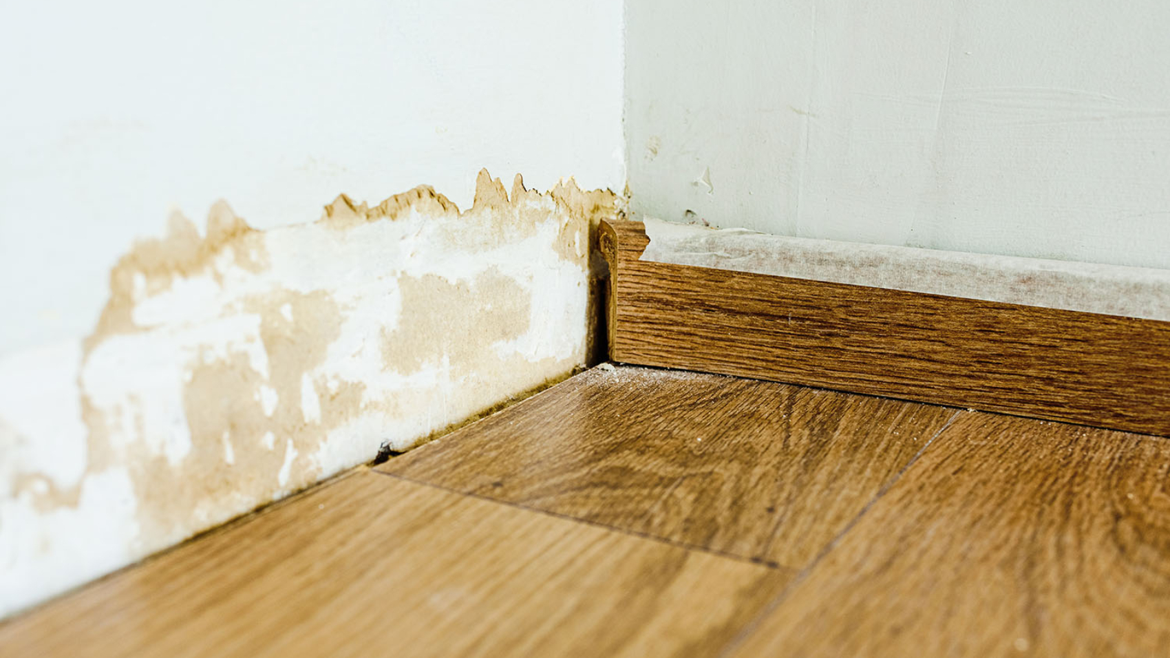 Skirting board on a wall damaged by mold.