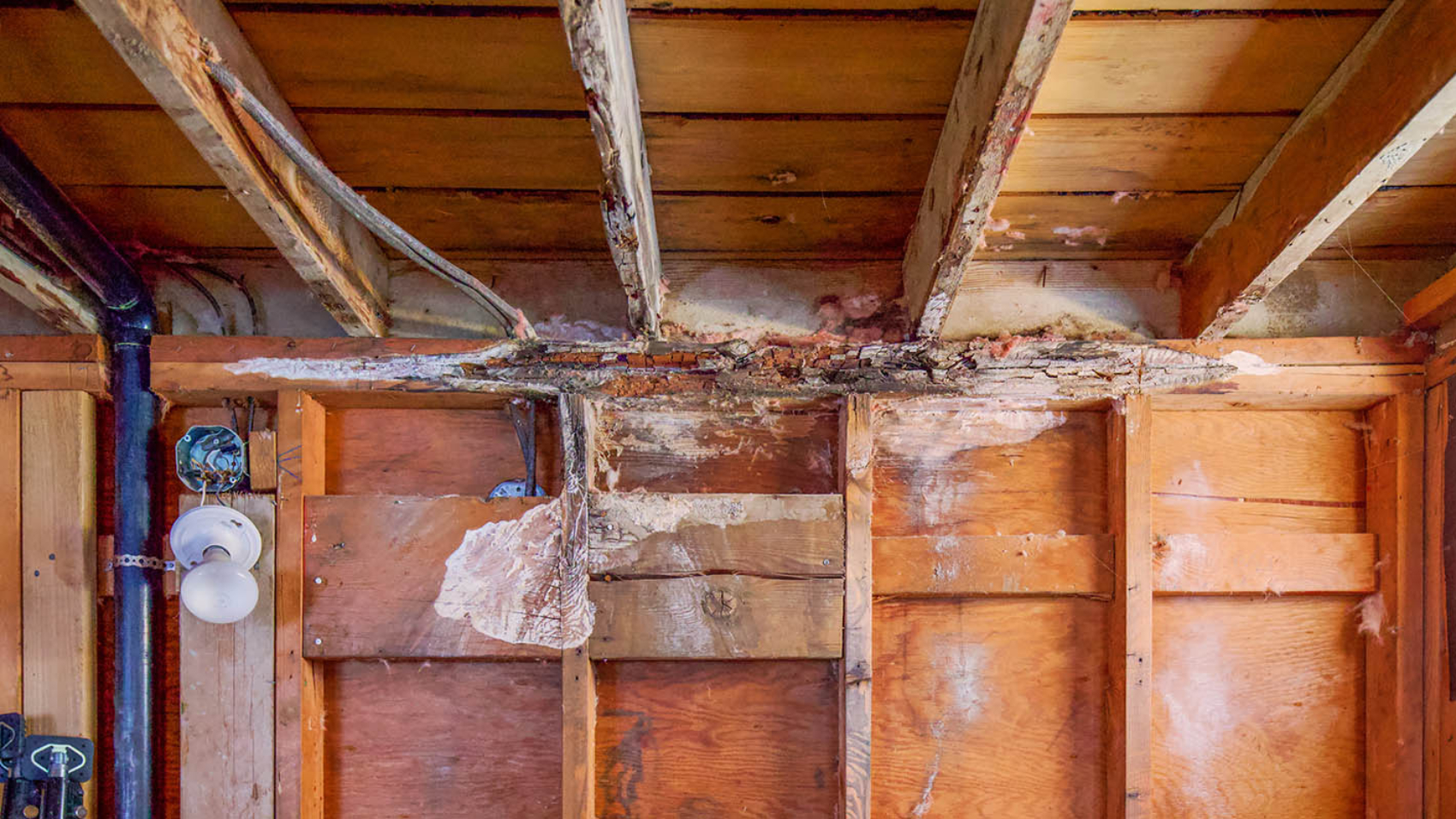 dry-rot-bathroom-wall-2024-11-26-10-38-05-utc