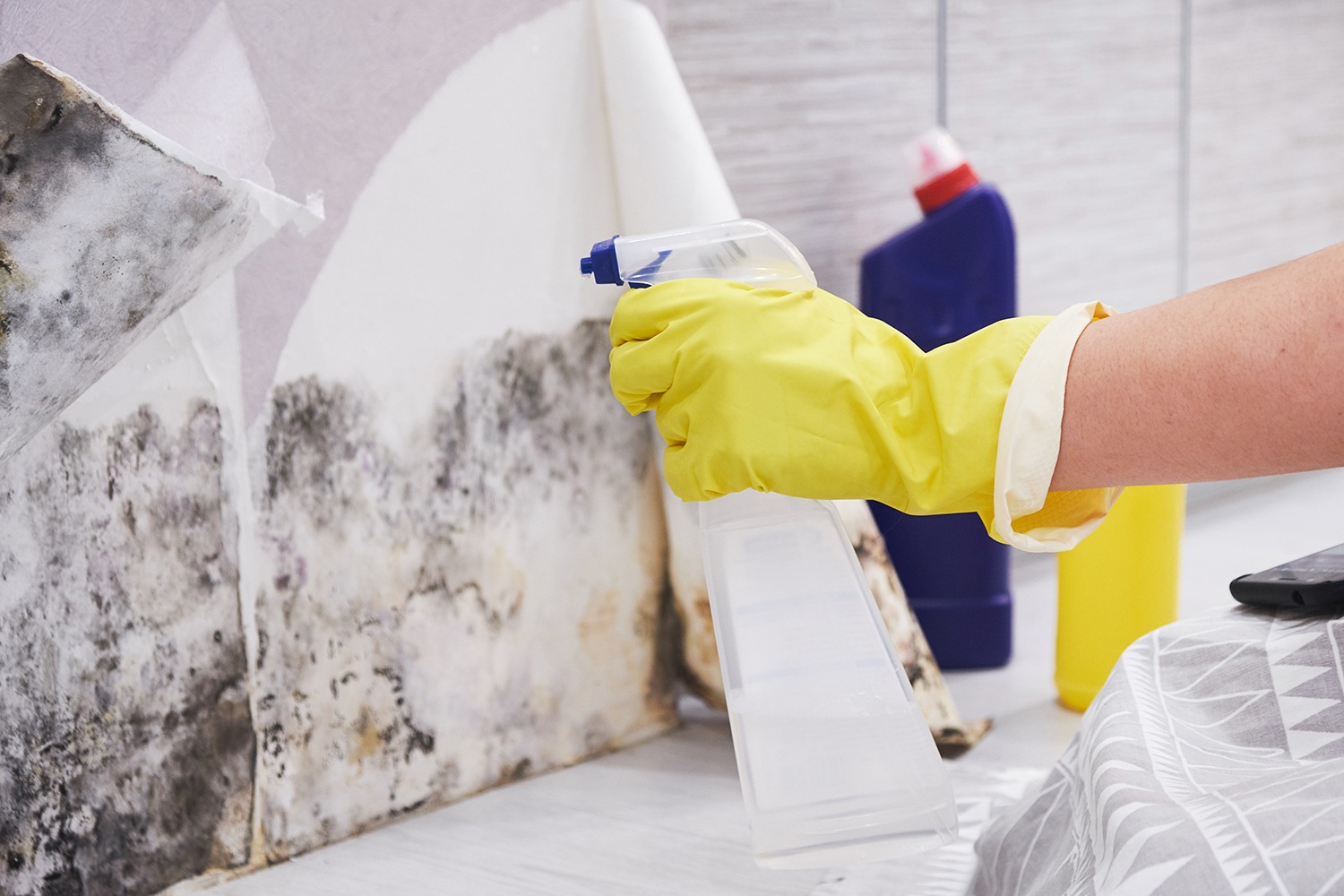 Close-up Of A Shocked Woman Looking At Mold On Wall