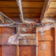 dry-rot-bathroom-wall-2024-11-26-10-38-05-utc