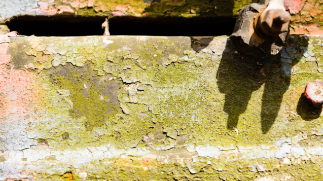 Mold growth spreading on a damp wall after a water leak