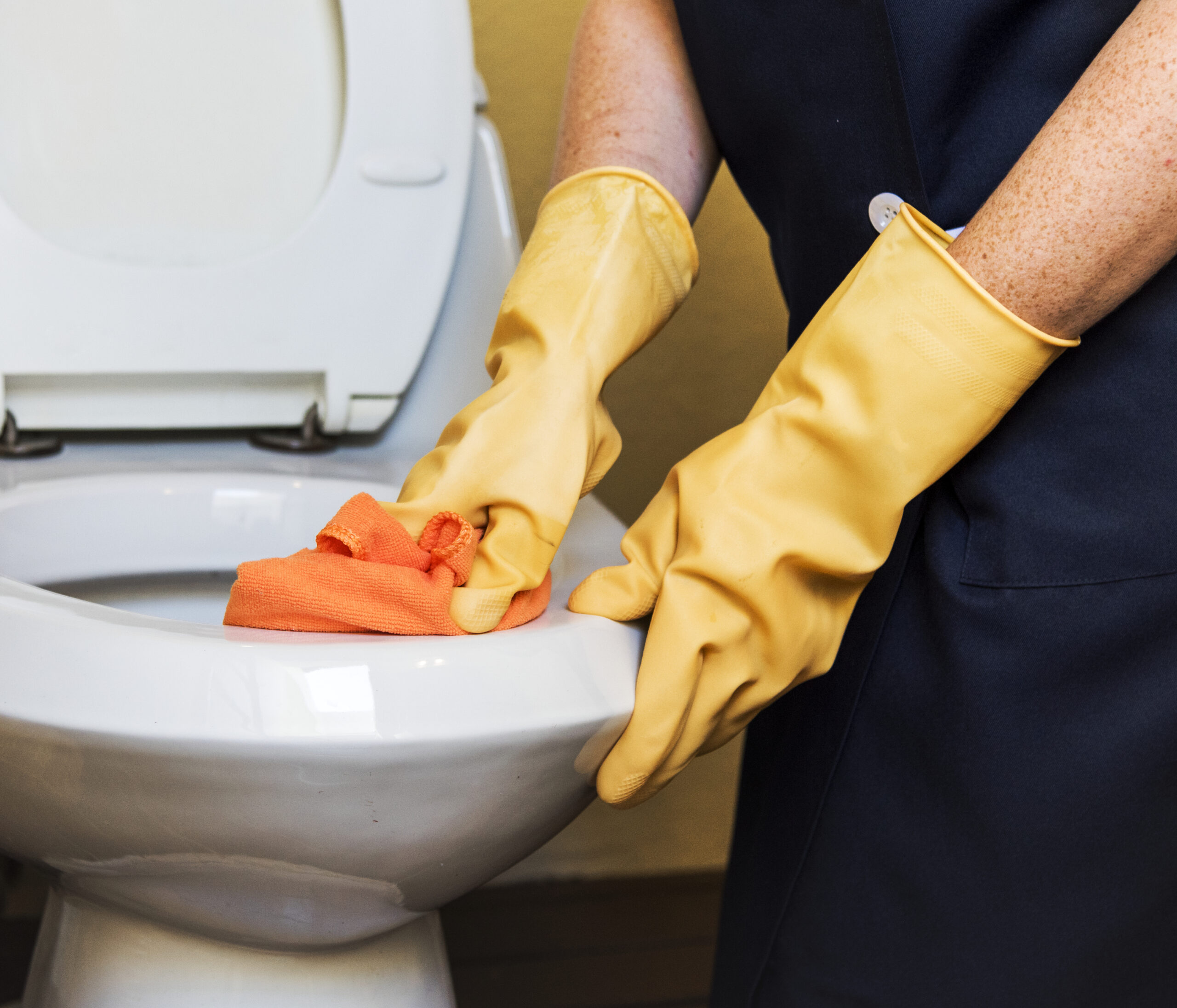 is black mold in the toilet tank dangerous