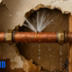 Hidden Signs of Water Damage Behind Walls
