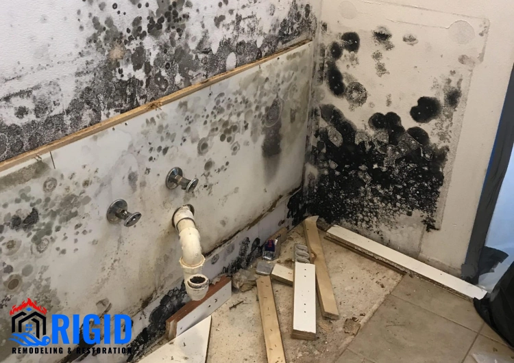 Common Water Leak Mistakes That Cost Homeowners Thousands