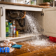 Comparing Water Mitigation and Water Restoration