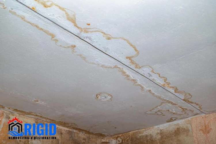 The Consequences of Leaving Water Damage Untreated for 30 Days