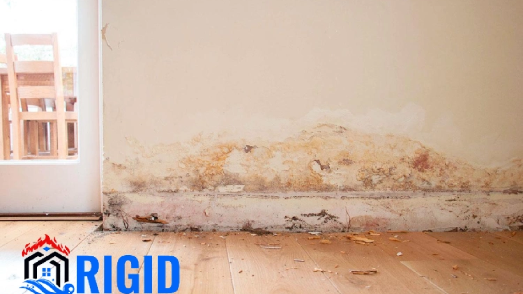Hidden Water Damage Problems You Don’t Notice