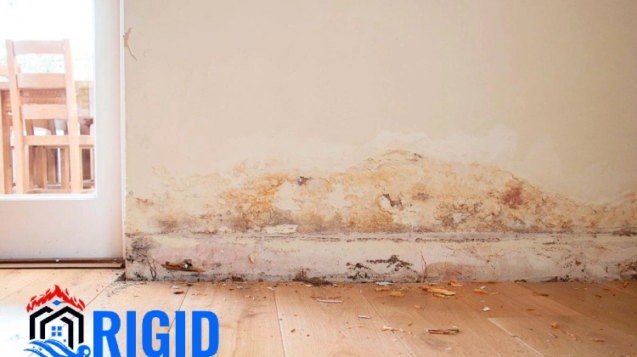 Hidden Water Damage Problems You Don’t Notice