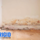 Hidden Water Damage Problems You Don’t Notice