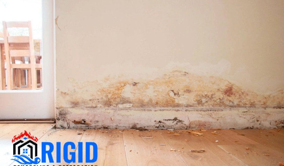 Hidden Water Damage Problems You Don’t Notice