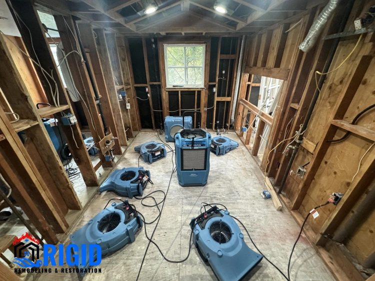 How to Identify a Legit Water Mitigation Company