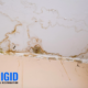Reasons Older San Diego Houses Suffer More Water Damage