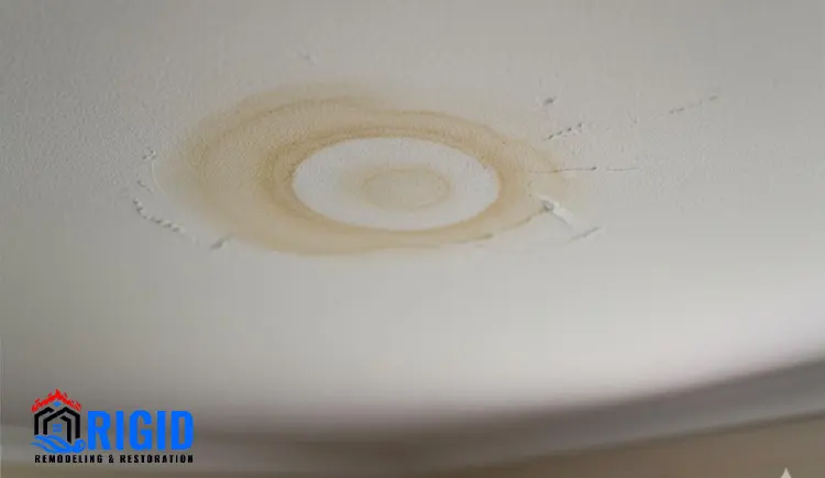 The Hidden Risks of Ignoring Water Damage in Your Home