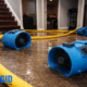 Water Mitigation vs Simple Cleanup_ How to Know the Difference