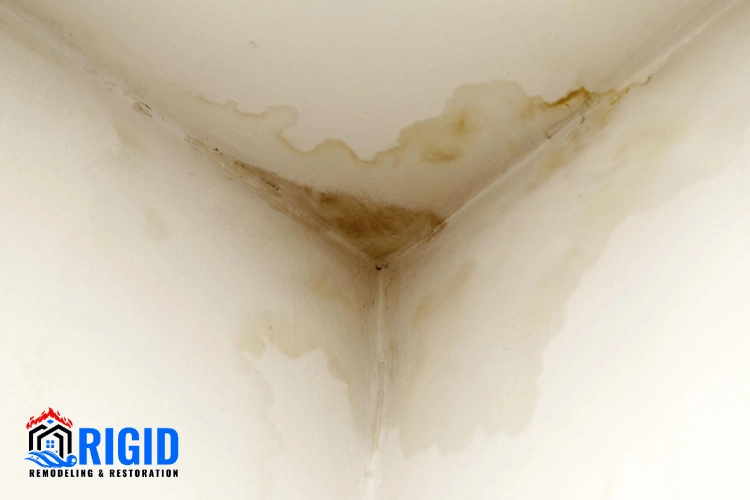 Why Older Homes in San Diego Are More Prone to Water Damage
