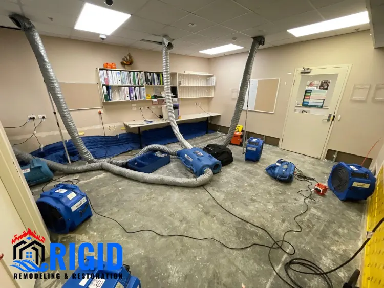 Water Mitigation vs Water Restoration_ Complete Guide for Homeowners